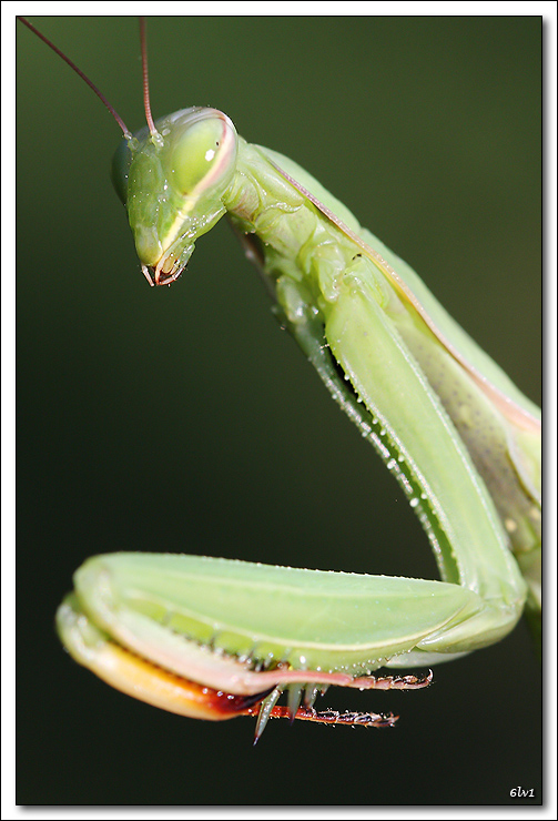 flash Metz 44AF4-C-40d13657-cs-cadre2.jpg