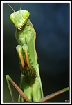 flash Metz 44AF4-C-40d13668-cs-cadre2.jpg