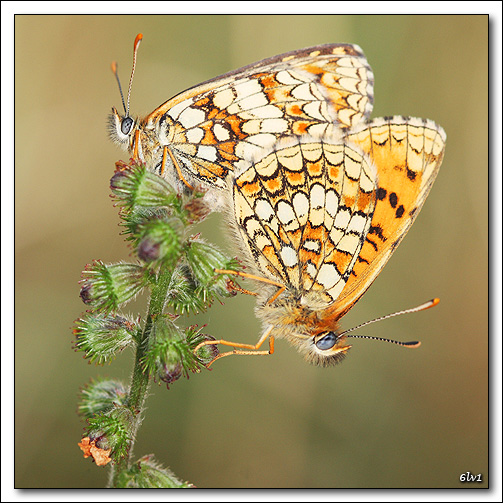 -40d13838-cs-cadre2.jpg
