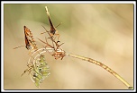 -40d13861-cs-cadre2.jpg