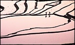 -_mg_9188_modifier_modifier_2011.jpg