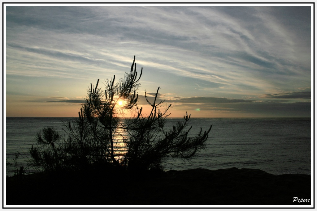 Vitesse carte memoire....-img_4895_gf.jpg