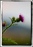 Vitesse carte memoire....-img_0315-bis.jpg