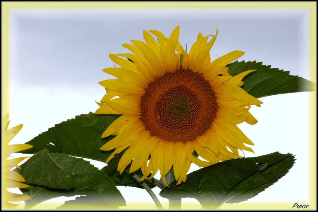 Vitesse carte memoire....-img_0305-bis.jpg