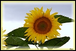 Vitesse carte memoire....-img_0305-bis.jpg
