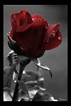 Vitesse carte memoire....-img_0598-ter.jpg