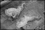 -img_0989.jpg