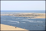 -img_1349.jpg