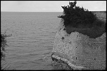 -img_1049.jpg