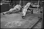 -img_0996.jpg