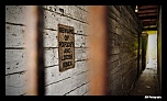 -loose-women-forum.jpg