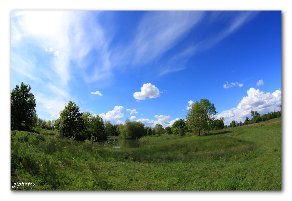 Hello everybody-2111.jpg