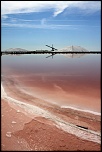 tutorial : Photos sous-marines-salins-du-midi-12_redimensionner.jpg