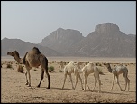 -img_1480.jpg