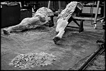 -img_0996.jpg