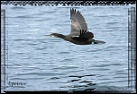 Nouvelle rubrique-may-4.jpg