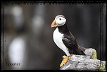 Nouvelle rubrique-img_1590.jpg