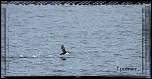 Nouvelle rubrique-may8.jpg