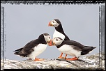 Nouvelle rubrique-img_1560.jpg