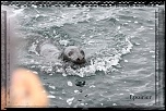 Nouvelle rubrique-img_1524.jpg