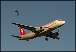 -img_4796.jpg