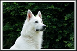 [Photo-Shop]Plug-in-img_0377.jpg