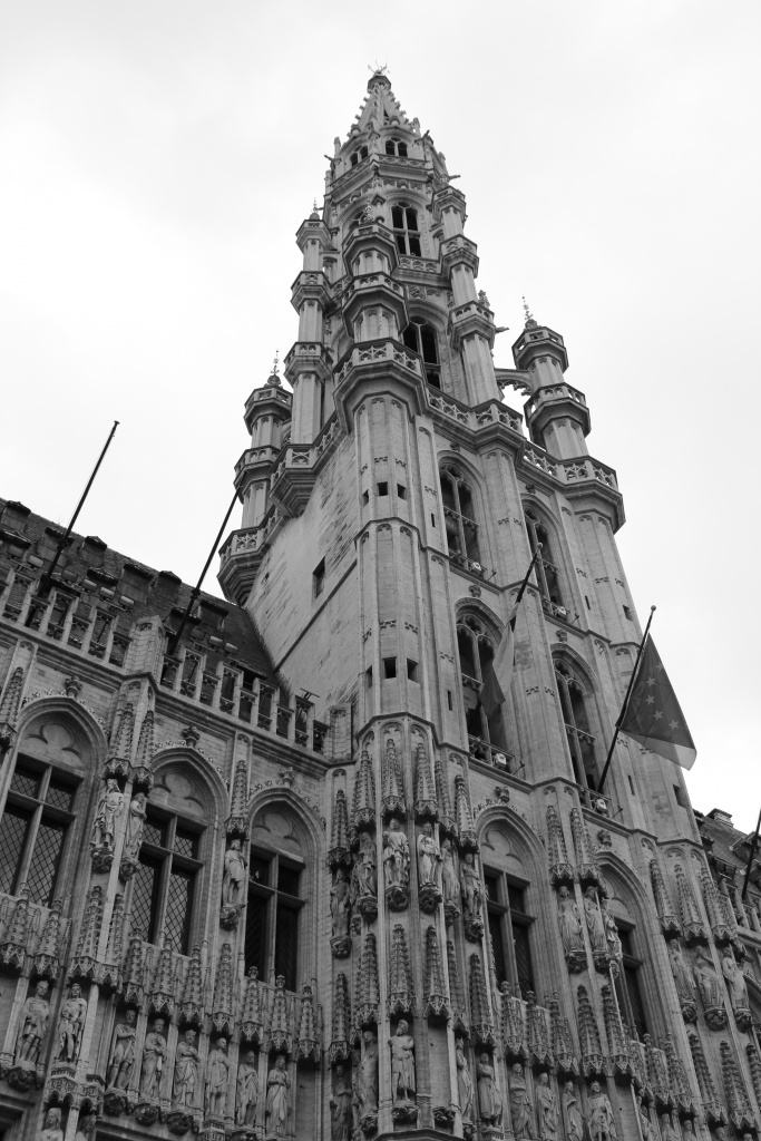 [Photo-Shop]Plug-in-img_1163.jpg