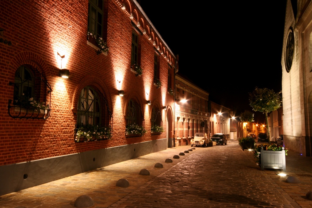 -img_1356.jpg