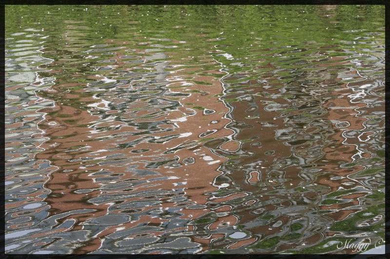 -reflet-de-l-eau.jpg