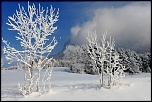 -img_1291.jpg