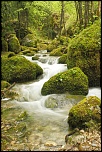 -img_1941.jpg