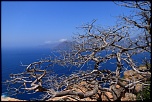 -img_1813.jpg