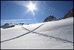 -img_1520.jpg