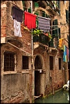 -img_1604.jpg