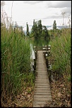 -img_2295.jpg