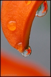 -2191.jpg