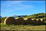 -img_2618.jpg