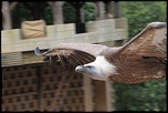 -img_3138.jpg