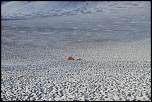 -img_2405.jpg