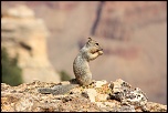 -img_1301_2.jpg
