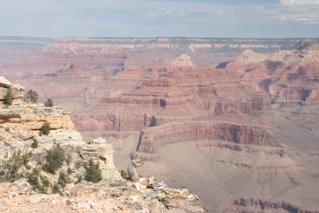 -img_1299.jpg