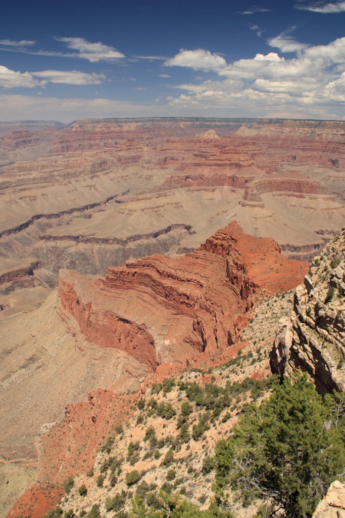 -img_1334_2.jpg