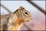 -img_1273_2.jpg