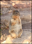 -img_1271_2.jpg