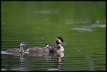 IMG 8177