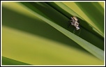 Petit plus-img_6788.jpg