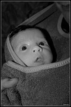 portrait amateur