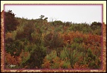 -automne.jpg
