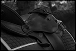 -img_0911.jpg