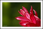 MG 6380 bis GForum